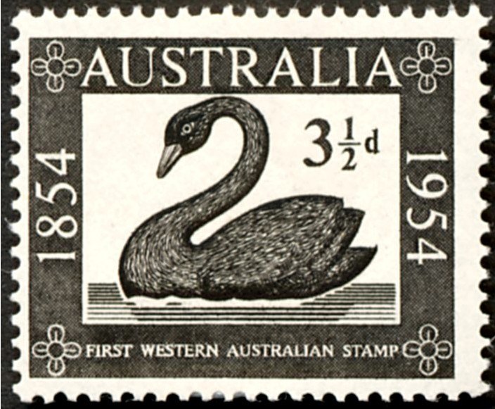Black Swan Native Symbols