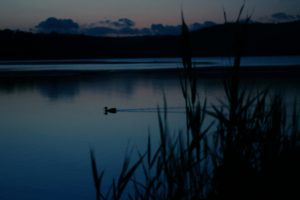 Twilight at Narrabeen Lakes, Sydney, Australia