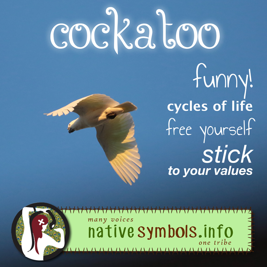 shareable cockatoo pic with meanings as a symbol