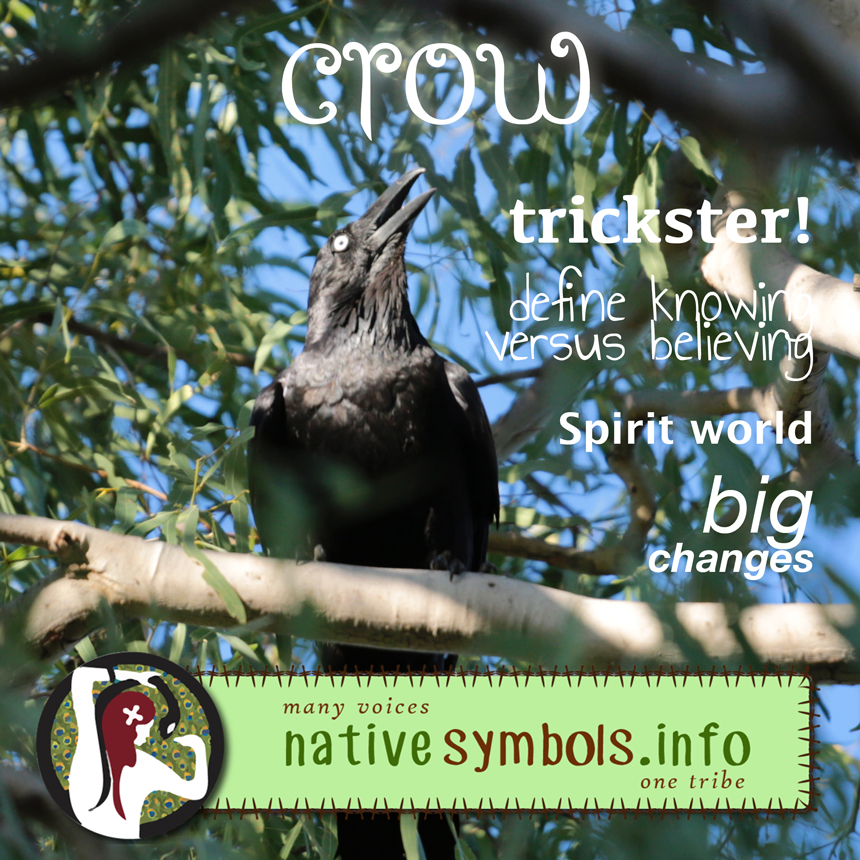 shareable crow pic with meanings as a symbol