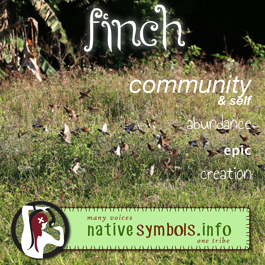 shareable infographic/image of finches meaning as a symbol appearing in your life